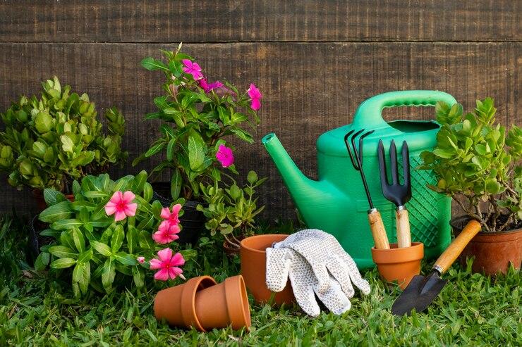Como fazer a manutenção do seu jardim?