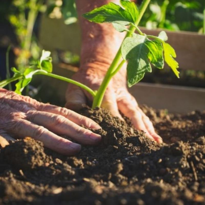 Serviço Jardineiro Valor Ananindeua - Empresa Terceirizada de Jardinagem