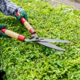 manutenção de jardim predial preço Tianguá